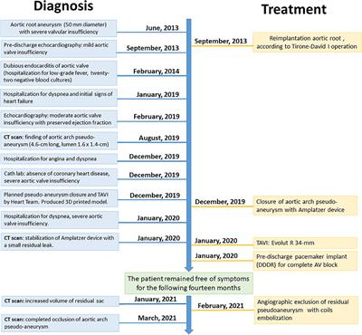 Case Report: Severe Aortic Valve Regurgitation and Pseudoaneurysm in Aortic Valve-Sparing Operation: The Usefulness of Multimodality Imaging in a Complex Clinical Scenario